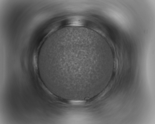 X0000089691487200707051616