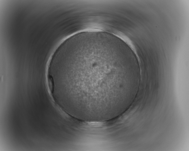 X0000089691488200707051616