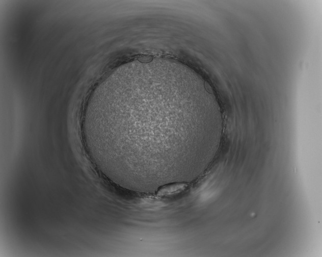 X0000089691489200707051615