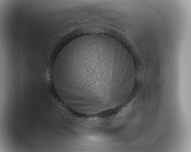 X0000089691490200707051615