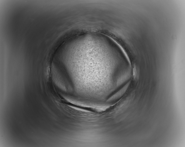 X0000089691492200707051615