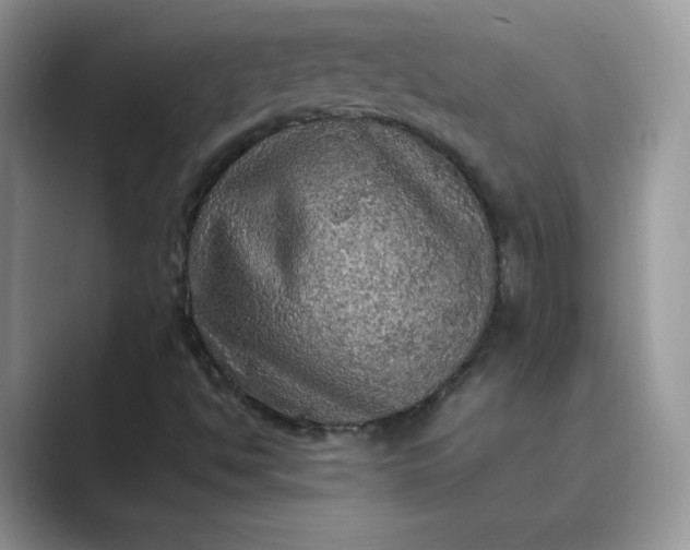 X0000089691494200707051615