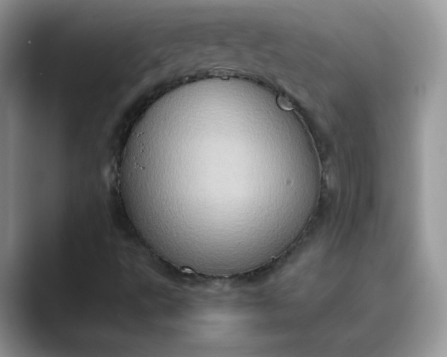 X0000089691495200707051615