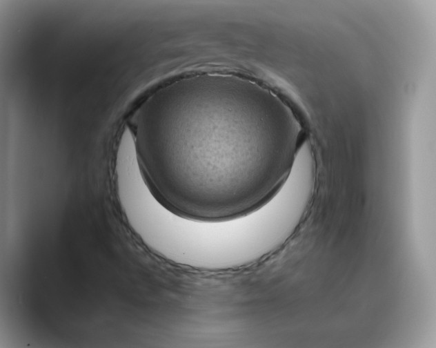 X0000089691496200707051615