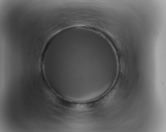 X0000089691497200707051615