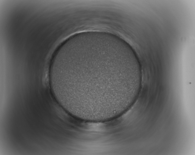 X0000089691498200707051615