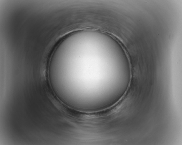 X0000089691499200707051615