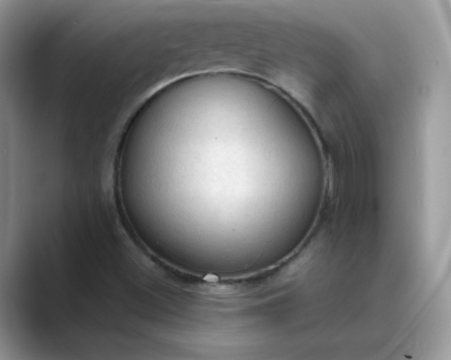 X0000089691500200707051615