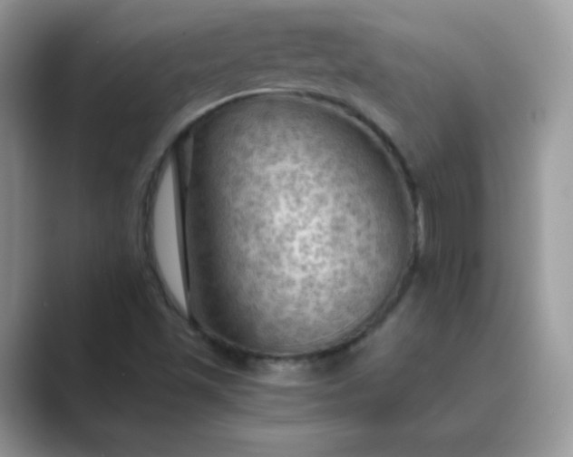 X0000089691501200707051615