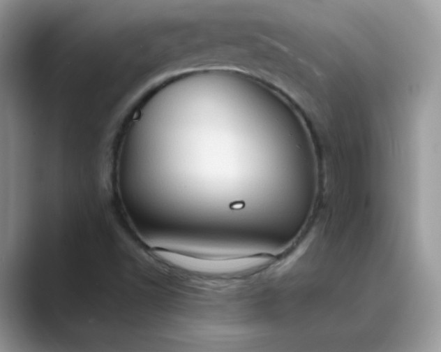 X0000089691502200707051615