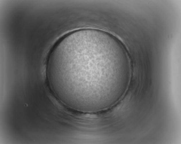 X0000089691503200707051615