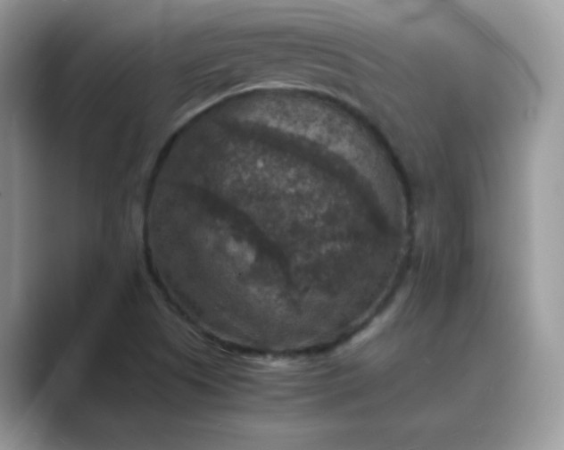 X0000089691505200707051615