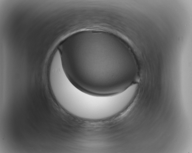 X0000089691506200707051615