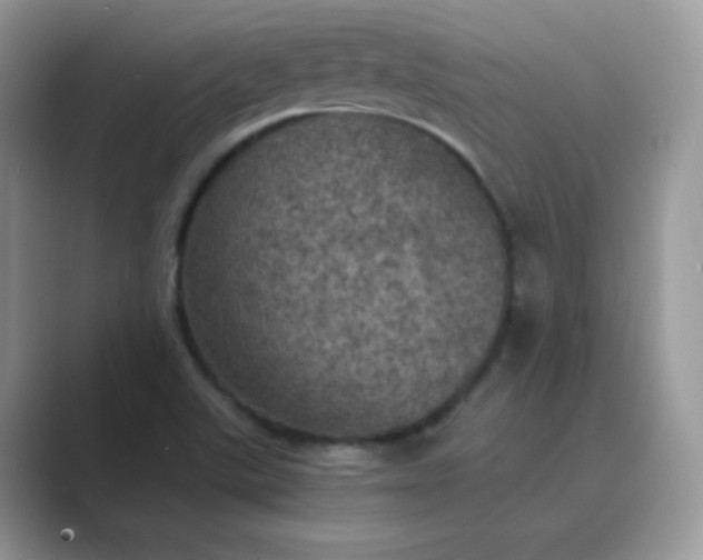 X0000089691507200707051615