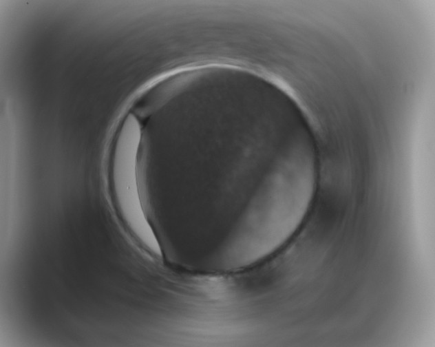 X0000089691508200707051615