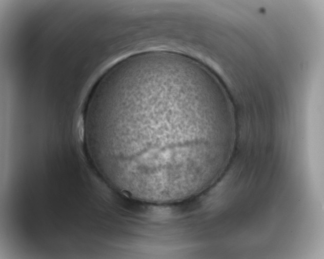 X0000089691509200707051615