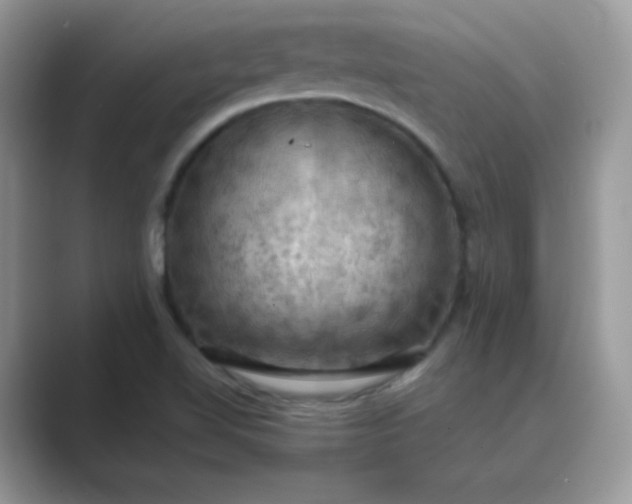 X0000089691510200707051615