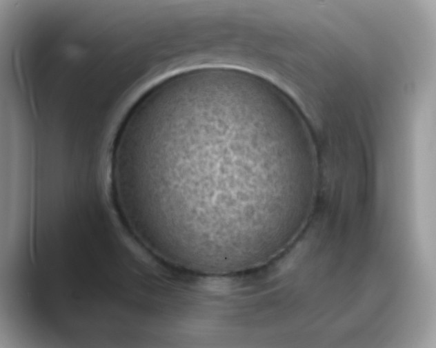 X0000089691511200707051615