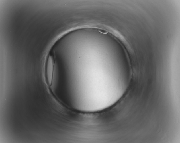 X0000089691512200707051615