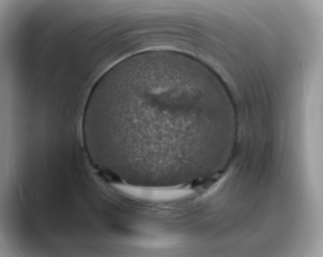 X0000089691513200707051615