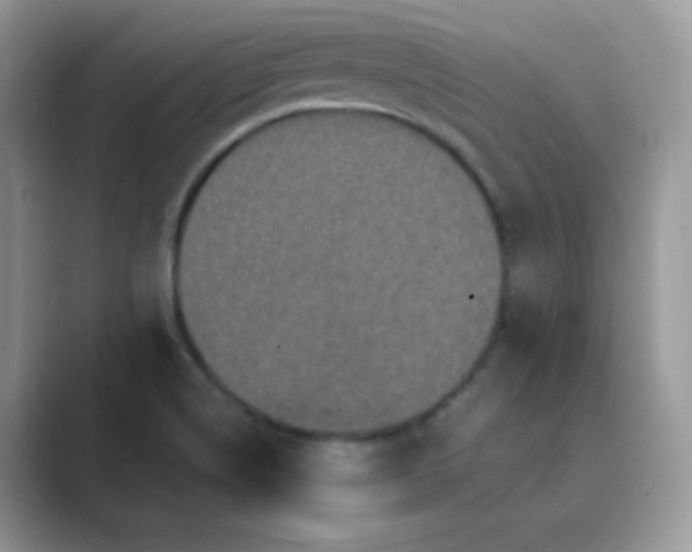 X0000089691514200707051615