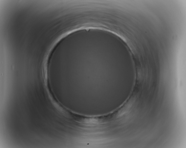 X0000089691515200707051615