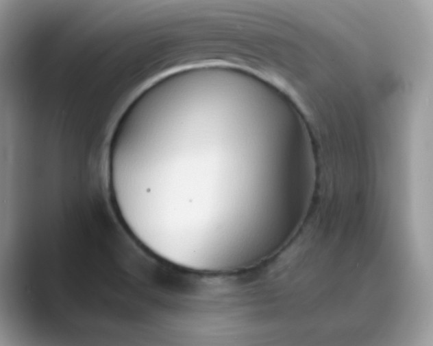 X0000089691516200707051615