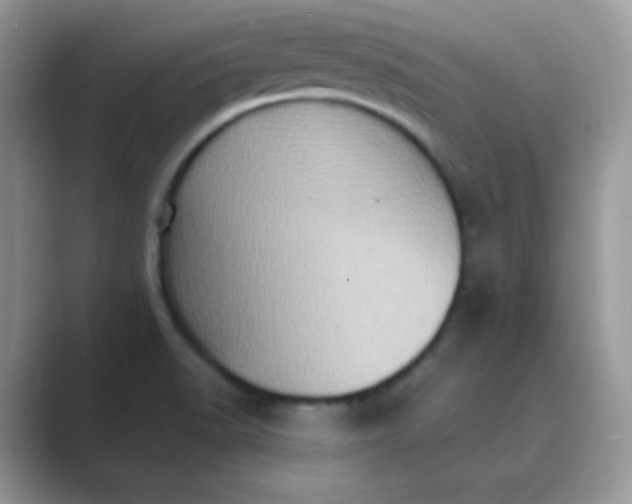 X0000089691518200707051615