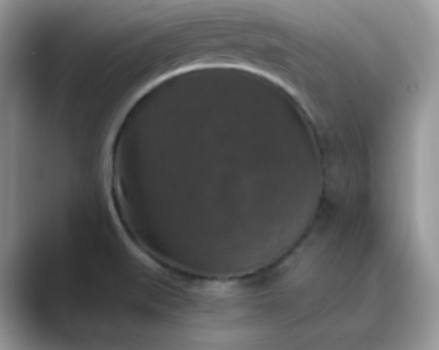 X0000089691519200707051615