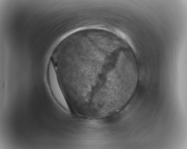 X0000089691520200707051615