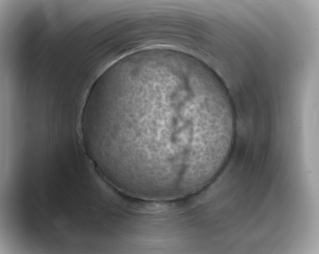 X0000089691521200707051615