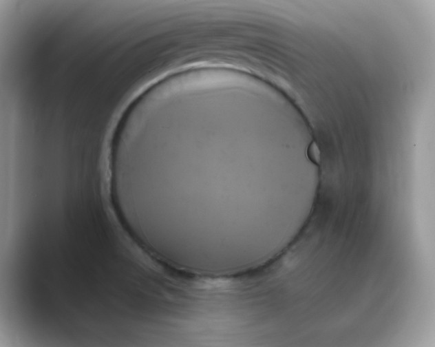 X0000089691522200707051615