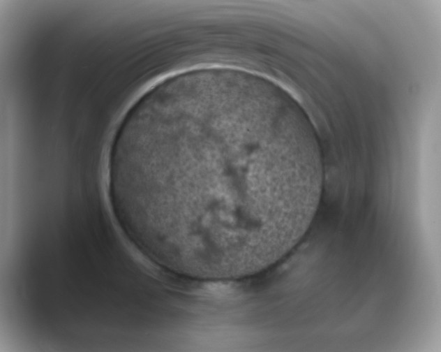 X0000089691523200707051615