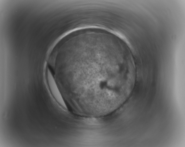 X0000089691524200707051615