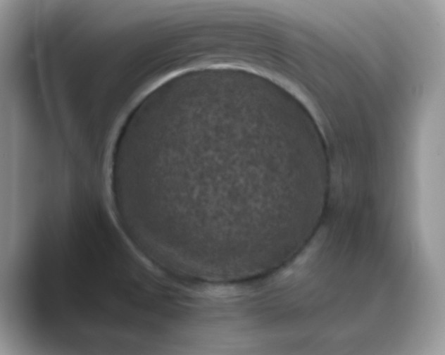 X0000089691525200707051615