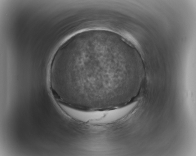 X0000089691528200707051615