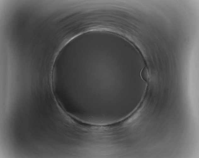 X0000089691529200707051615