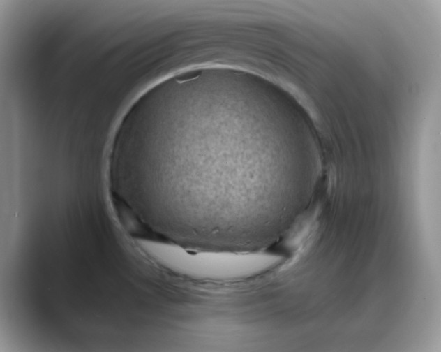 X0000089691530200707051615