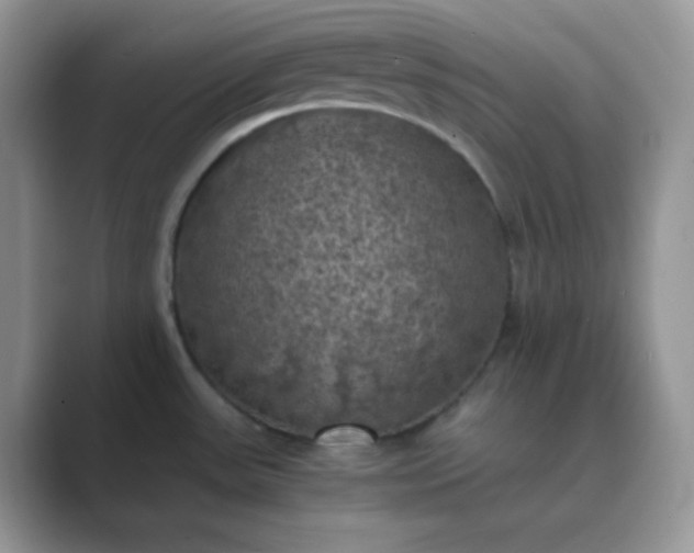 X0000089691531200707051615