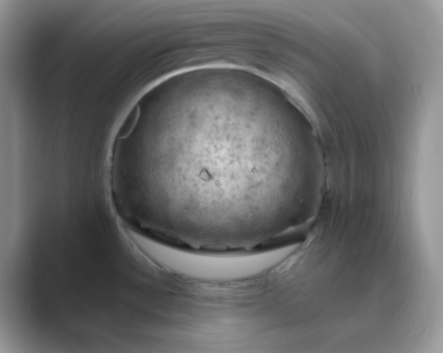 X0000089691532200707051616