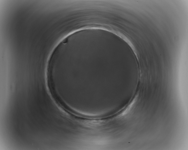 X0000089691533200707051616