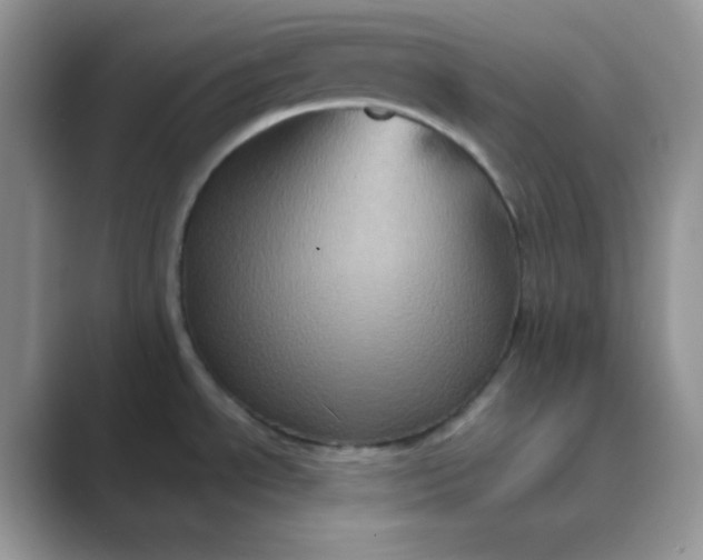 X0000089691534200707051616