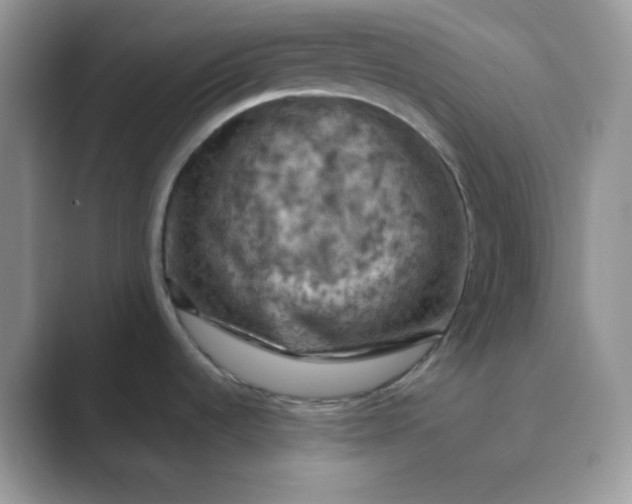 X0000089691536200707051616