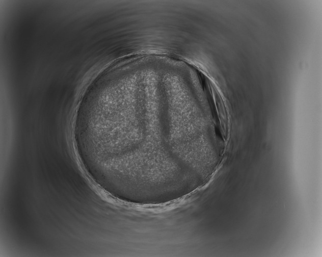 X0000089690001200707121344