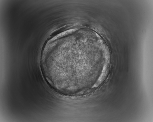 X0000089690003200707121344