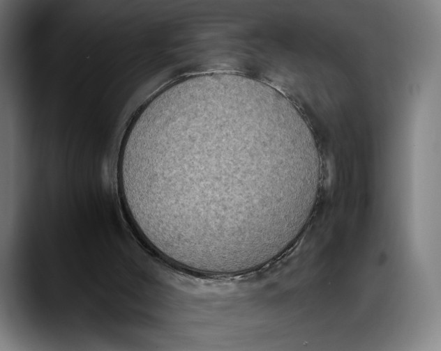 X0000089690004200707121344