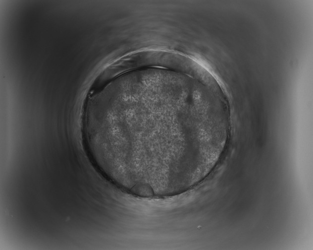 X0000089690007200707121344