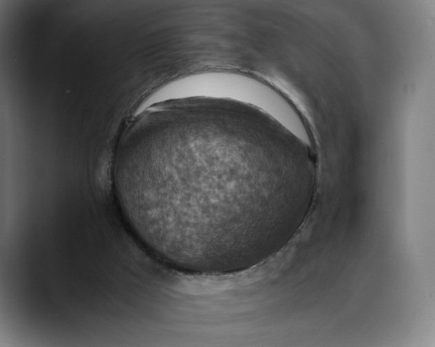 X0000089690009200707121344