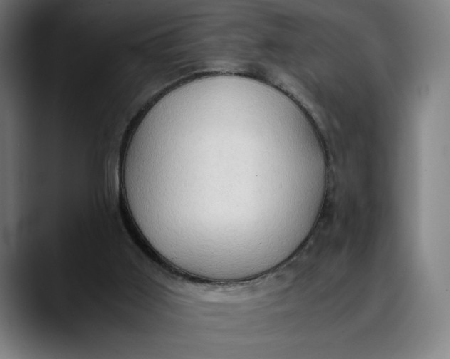 X0000089690011200707121344