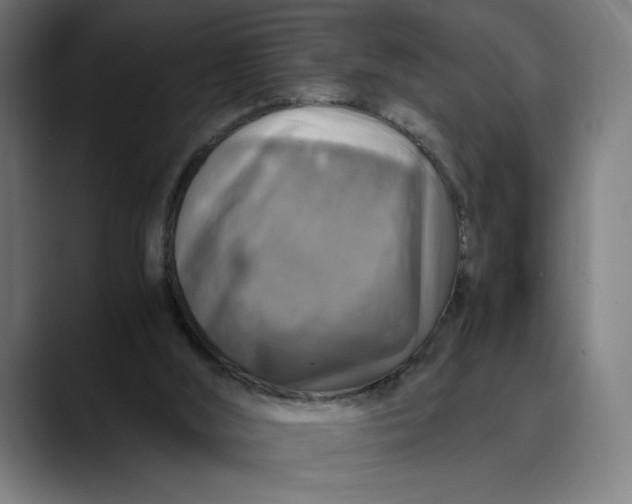 X0000089690012200707121344